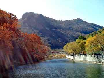 新澳天天开奖资料大全旅游团，尼龙网袋